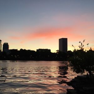 Meet your Posher, Maddy